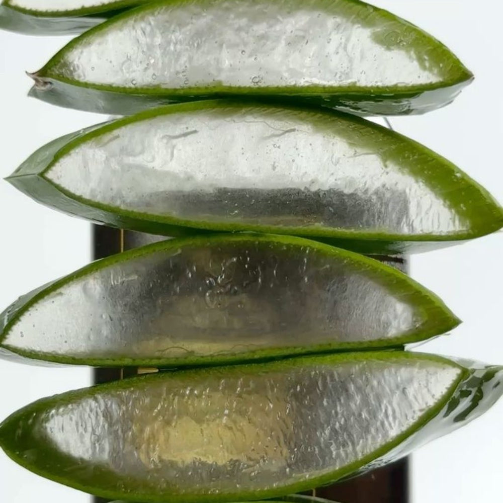 crop-1791913872707.jpg